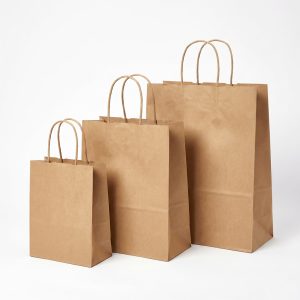 55000TWIST Brown Twist Handle Kraft Paper Bags