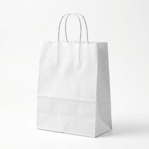55000TWIST White Twist Handle Kraft Paper Bags